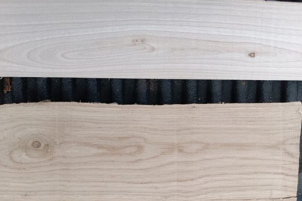 European Ash vs English Oak
